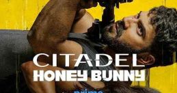 Citadel Honey Bunny (2024) Years after stuntman Bunny recruited struggling actress Honey for a side gig, their dangerous past