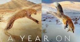 A Year on Planet Earth (2022) Filmed in over 60 different locations this epic documentary series will draw on the most