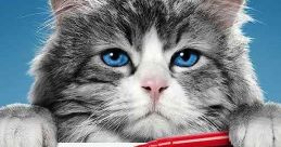 Nine Lives (2016) A stuffy businessman finds himself trapped inside the body of his family's cat. Cast: Tom Brand: Kevin
