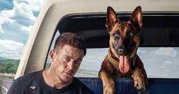 Dog (2022)
