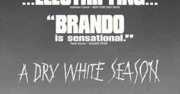 A Dry White Season (1989)