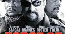Force of Execution (2013)