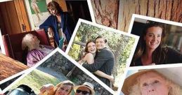 Snapshots (2018)