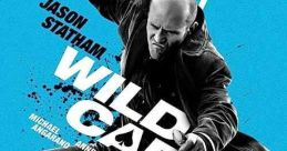 Wild Card (2015)