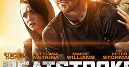 Heatstroke (2013)
