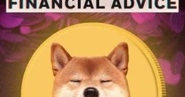 This Is Not Financial Advice (2023)