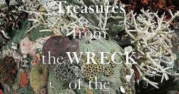 Treasures from the Wreck of the Unbelievable (2017)