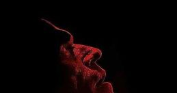 Anamorph (2007)