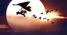 Fly Away Home (1996)