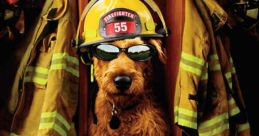 Firehouse Dog (2007)