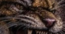 VHS 26 Valdosta 2026