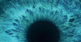 Visions (2023)