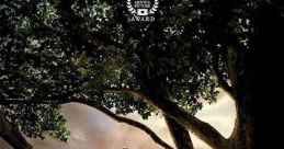 Flipped (2010) When Juli meets Bryce in the second grade, she knows it's true love. After spending six years trying to