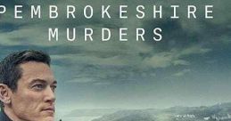 The Pembrokeshire Murders (2021) DSU Steve Wilkins reopens two unsolved murder cases from the 1980s. Forensic methods link