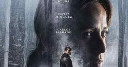 The Invisible Guardian (2017)