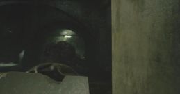 Tofu Resident Evil