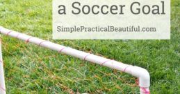 Homemade Goal Against Song