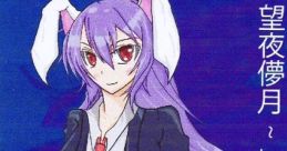 望夜儚月　～ Lunatic far dawn Touhou C74 - Video Game