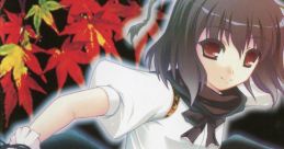 東方月詠草 Touhou - Video Game Video game from 東方月詠草 Touhou for Windows. Published by QLOCKS (2007).