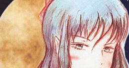 永夜の名酒 Touhou 月の宴2 - Video Game