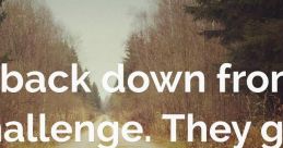 Nver Back Down Never What