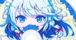 第10回博麗神社秋季例大祭会場限定おまけCD Touhou 秋例大祭10 - Video Game Video game from