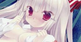 藤原妹紅のDOKIDOKIディスク Touhou C83 - Video Game