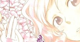 飛花落葉、妖しは夢。 Touhou 例大祭9 - Video Game