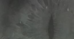 Morimens Original track: War of Primordial Destiny - Video Game