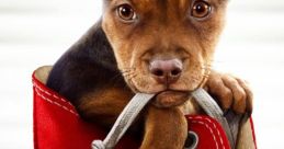 A Dog's Way Home (track)