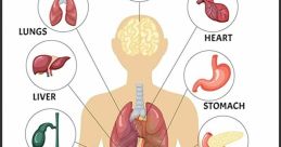 Organs