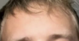 Husk IRL