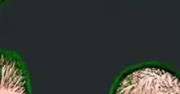 Glitch Voice