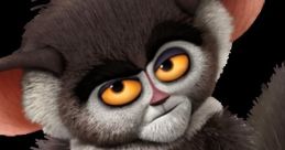 Morice The Pof Madagascar