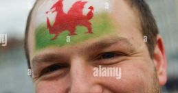 Geraint (Male Welsh English Voice, Ivona) Geraint (Male Welsh English voice) from Ivona voices.