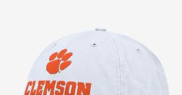 Clemson Club Baseball Gameday