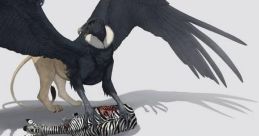 Griffin Design FX