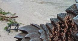 Kamoebas