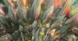 Anguirus (SP)