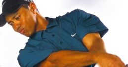 Tiger Woods PGA Tour 06 - Video Game