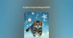 A Moggy Voice