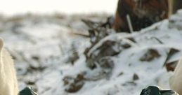 Peq Animals Effects