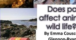 Racanimals Effects