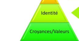 Niveaux D'Ogyxe Critique