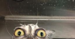 Wait A Minute... An Equals Sign... Noooooo Pleasee Nooooo Dont Do That Noooooo Please Please Im Begging You Im Sorry