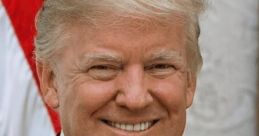 Donald Trump Parody