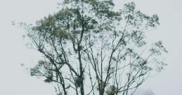 Alone