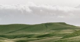 Hill