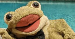 Ribberto the Frog