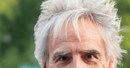 Rod Stewart Tribute Singer